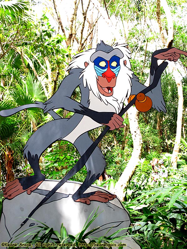 Rafiki