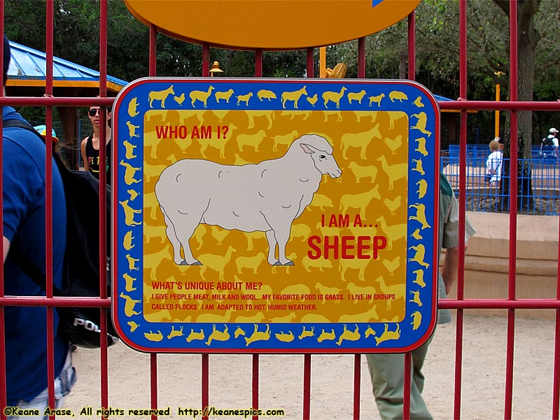 Sheep sign