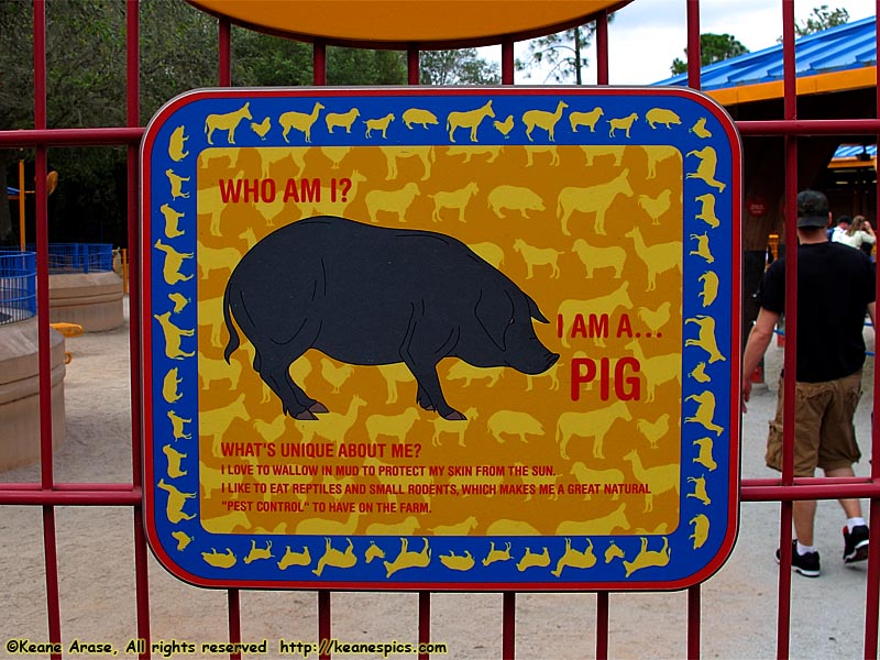 Pig sign