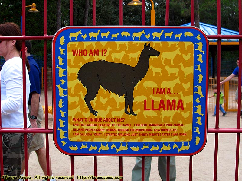 Llama sign