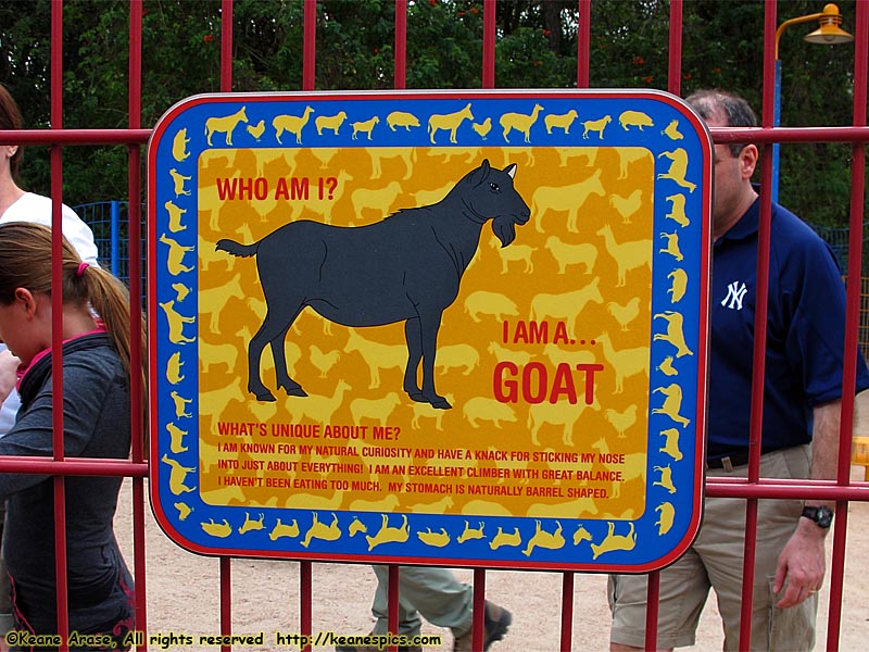 Goat sign