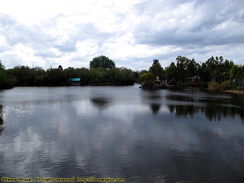 Tree of Life across the lagoon