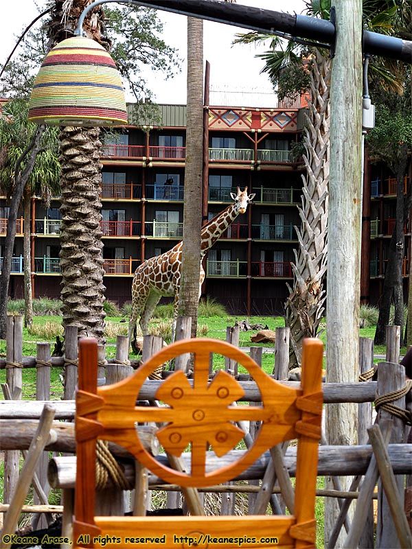 Sunset Savanna viewing area