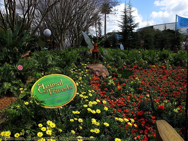 Flower and Garden topiaries