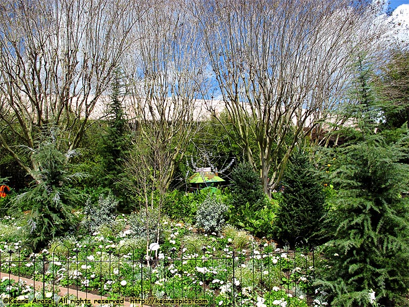 Flower and Garden topiaries