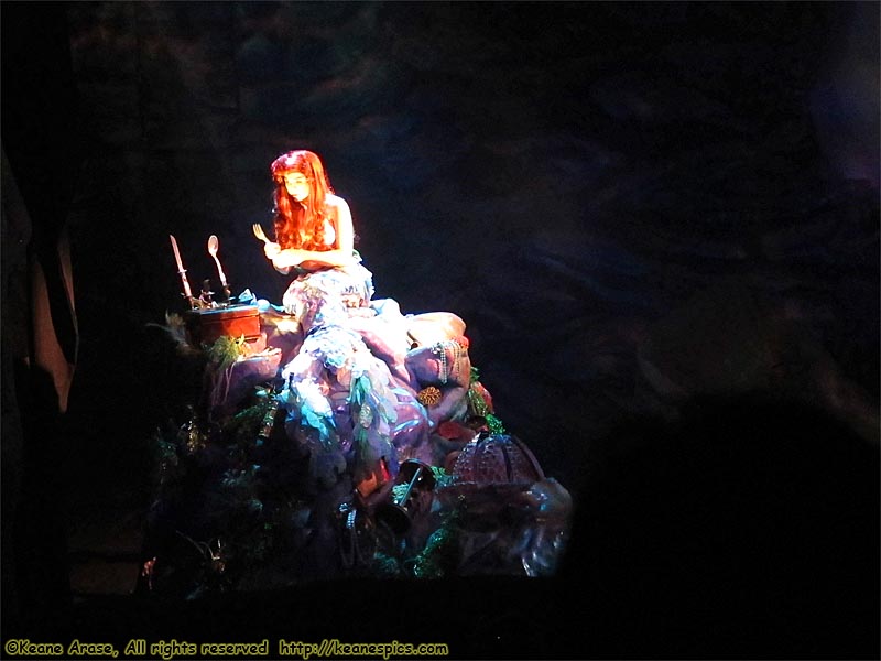 Voyage of the Little Mermaid