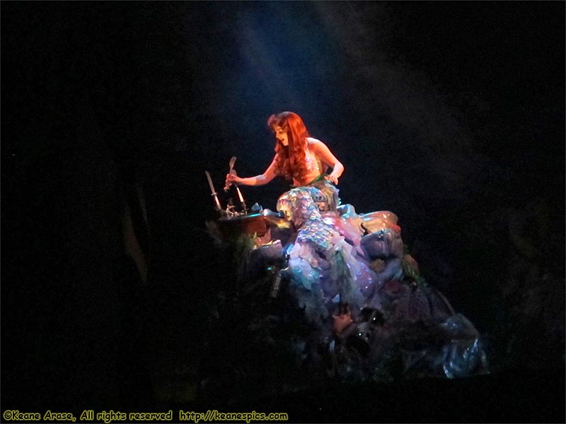 Voyage of the Little Mermaid