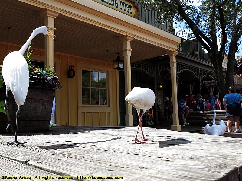 Frontierland