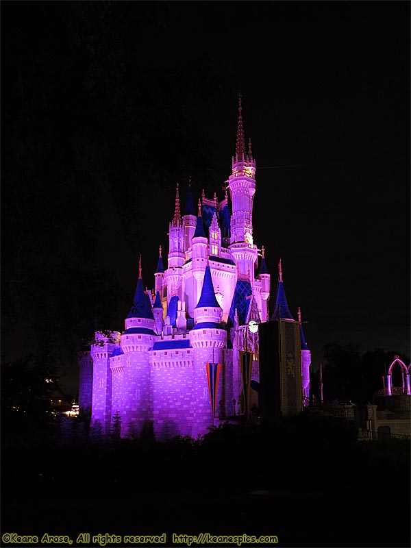 Cinderella Castle