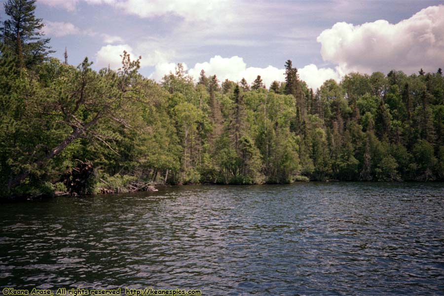 Flour Lake (1988)