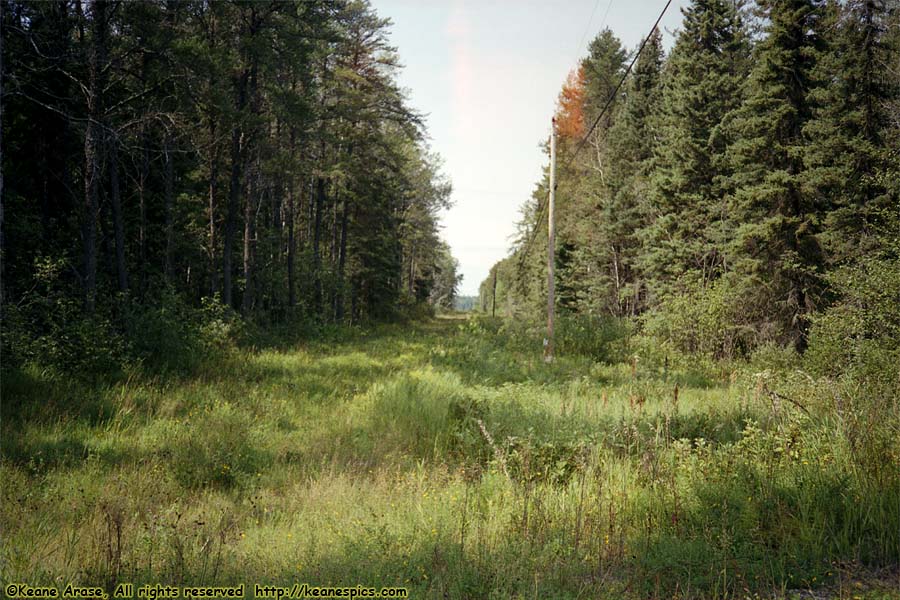 Along The Gunflint Trail