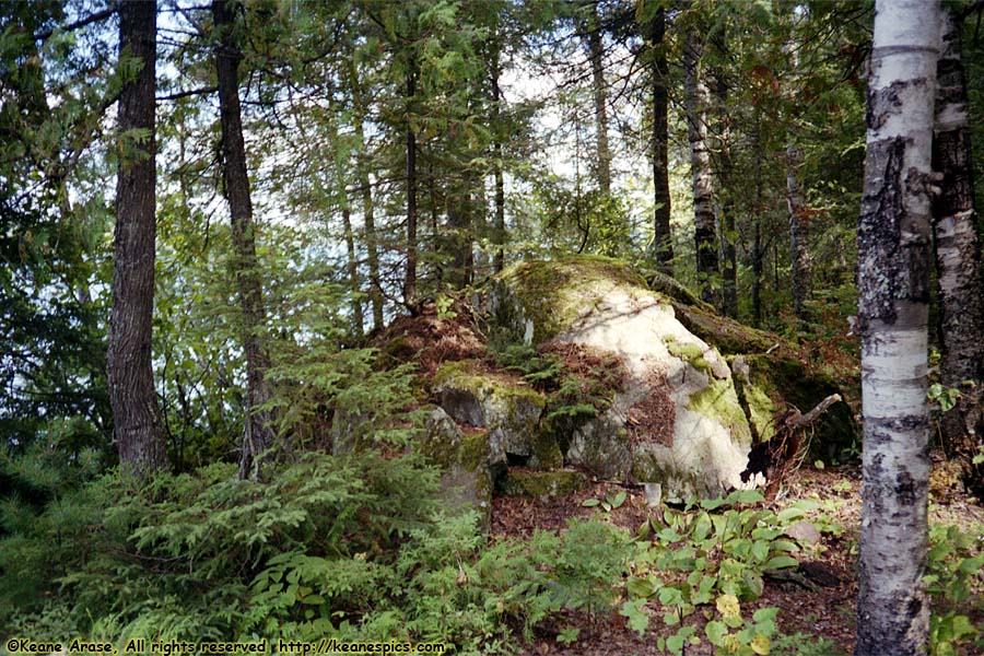 1990 BWCAW Canoe Trip