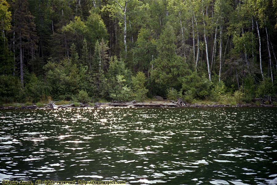 1990 BWCAW Canoe Trip