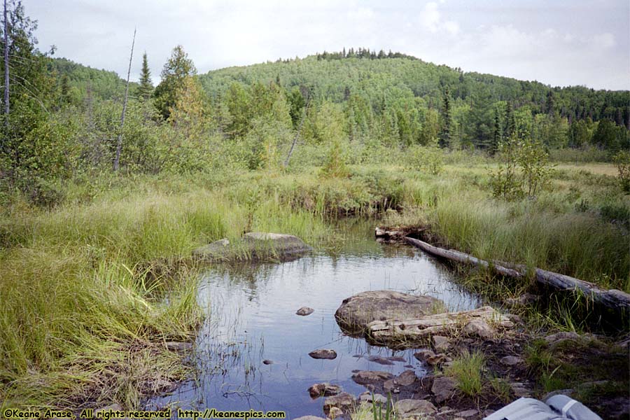 1990 BWCAW Canoe Trip