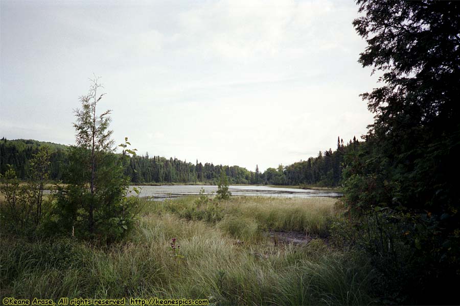 1990 BWCAW Canoe Trip