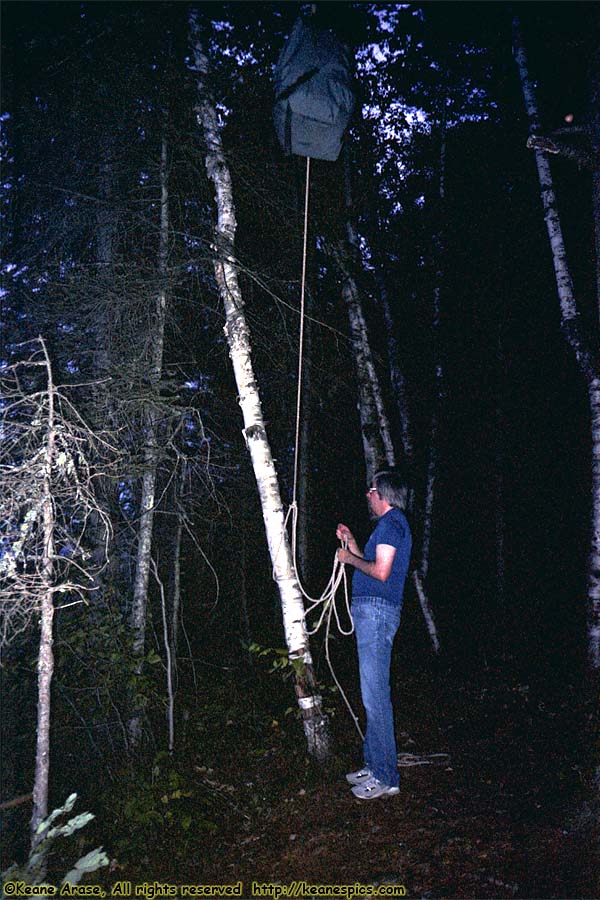 1990 BWCAW Canoe Trip