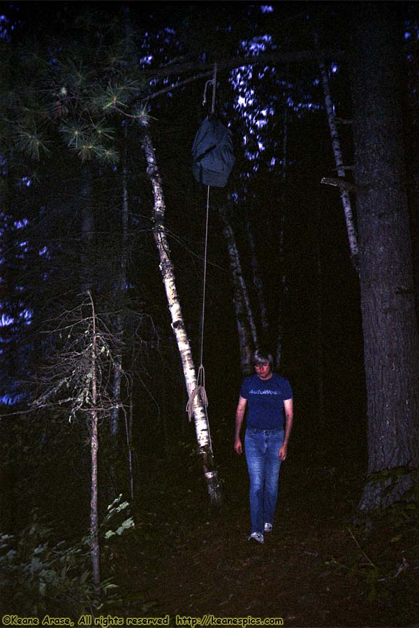 1990 BWCAW Canoe Trip