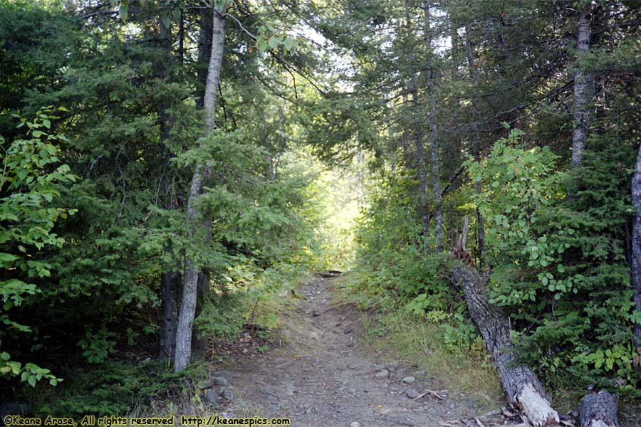 1990 BWCAW Canoe Trip