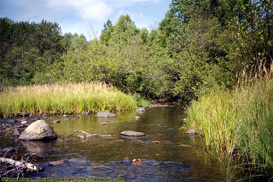 1990 BWCAW Canoe Trip