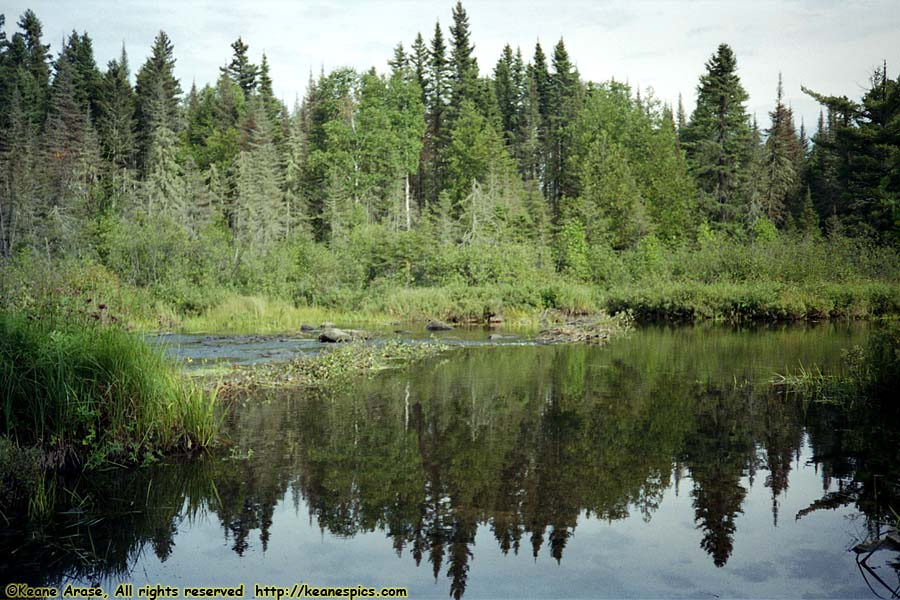 1990 BWCAW Canoe Trip