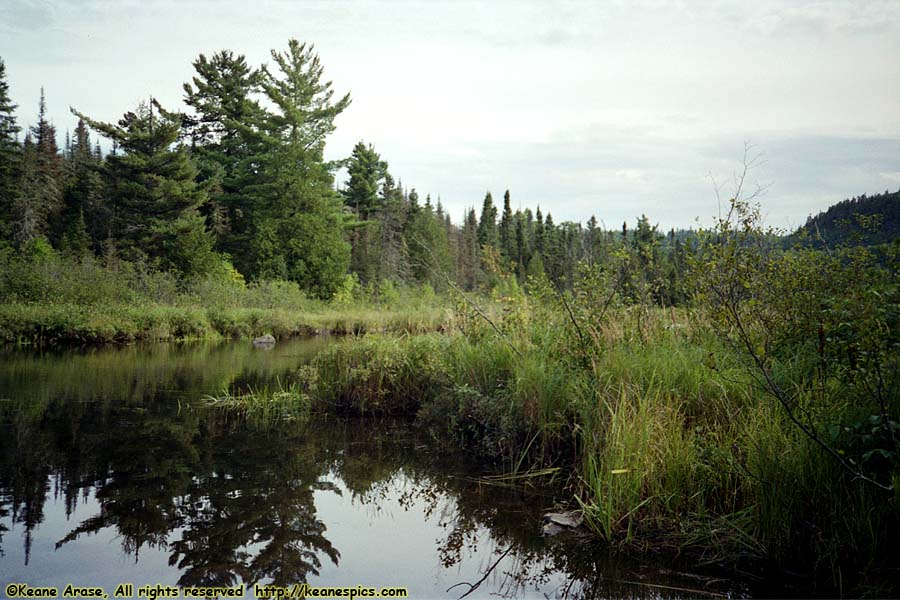 1990 BWCAW Canoe Trip