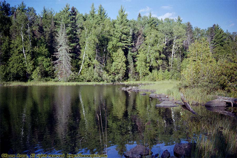 1990 BWCAW Canoe Trip