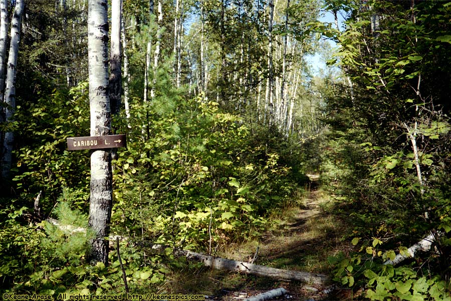 1990 BWCAW Canoe Trip