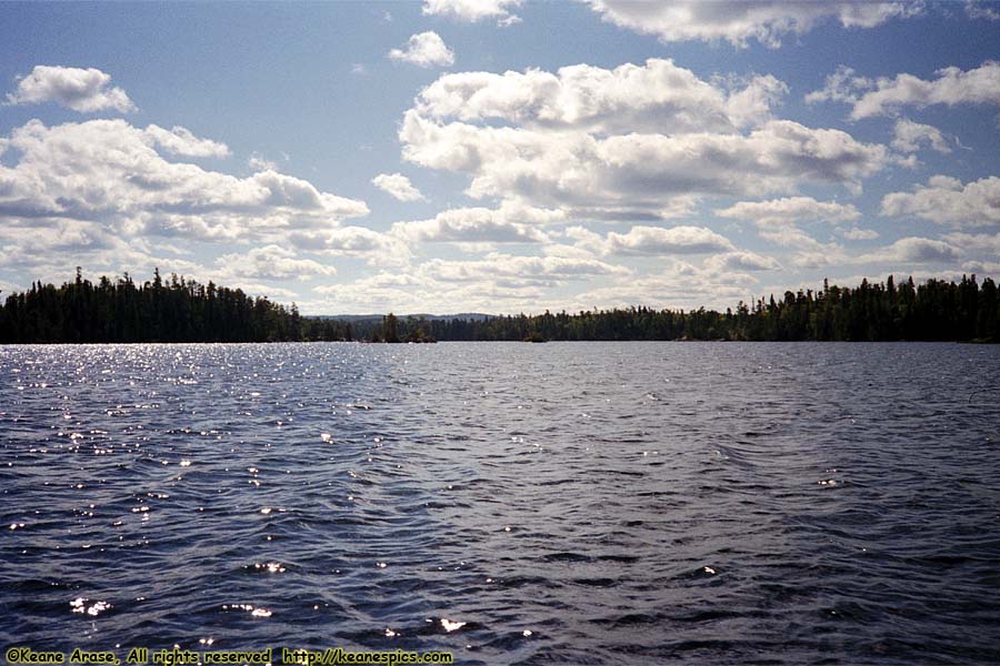 Seagull Lake (1990)