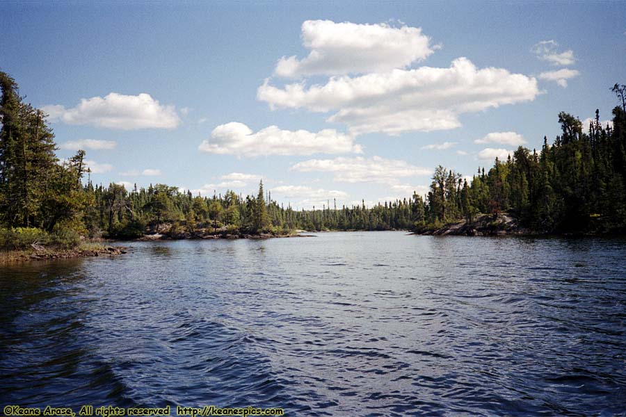 Seagull Lake (1990)