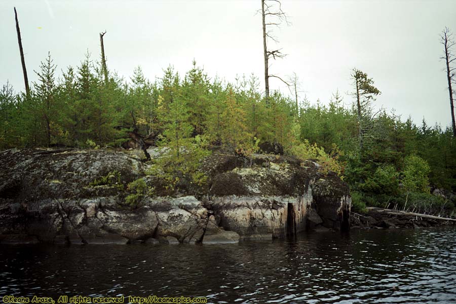 Seagull Lake (1990)