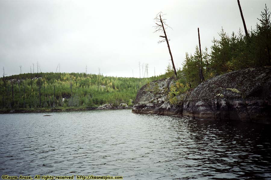 Seagull Lake (1990)