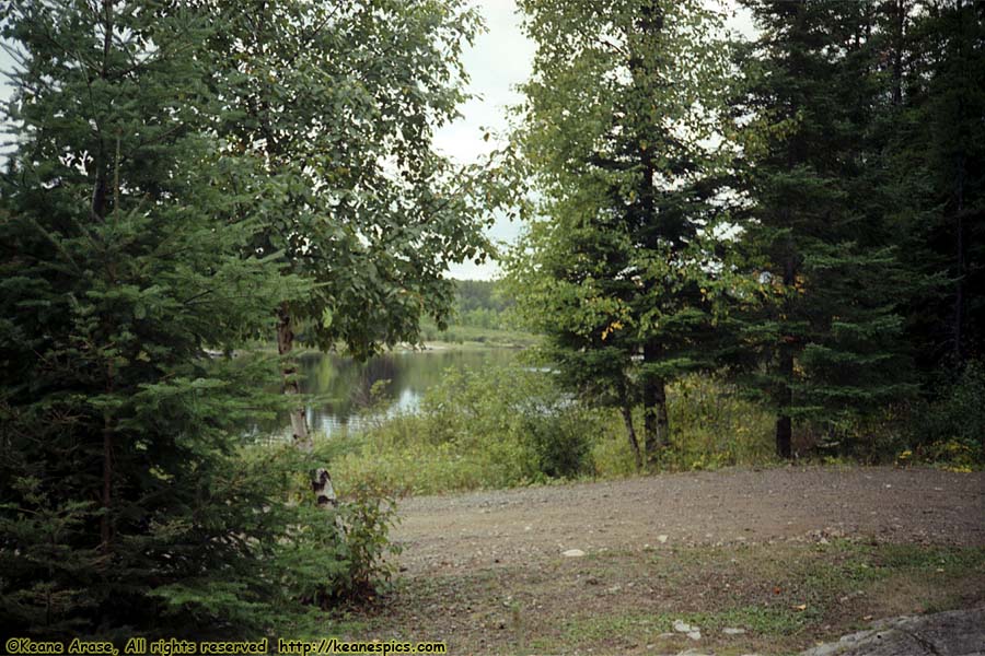 Seagull Lake (1990)