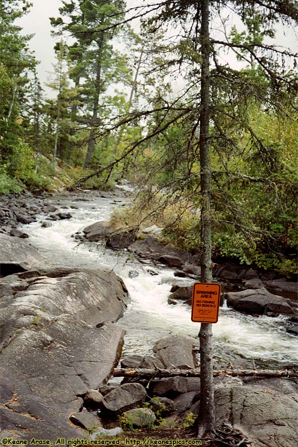 End of Trail Campground