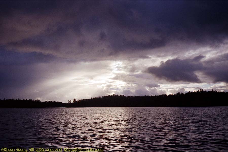 Seagull Lake (1990)