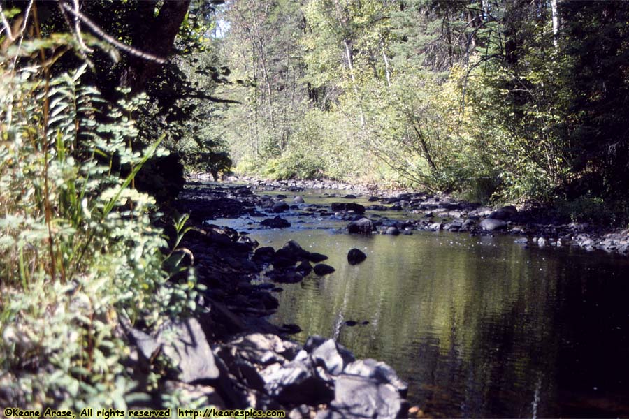 Along The Gunflint Trail