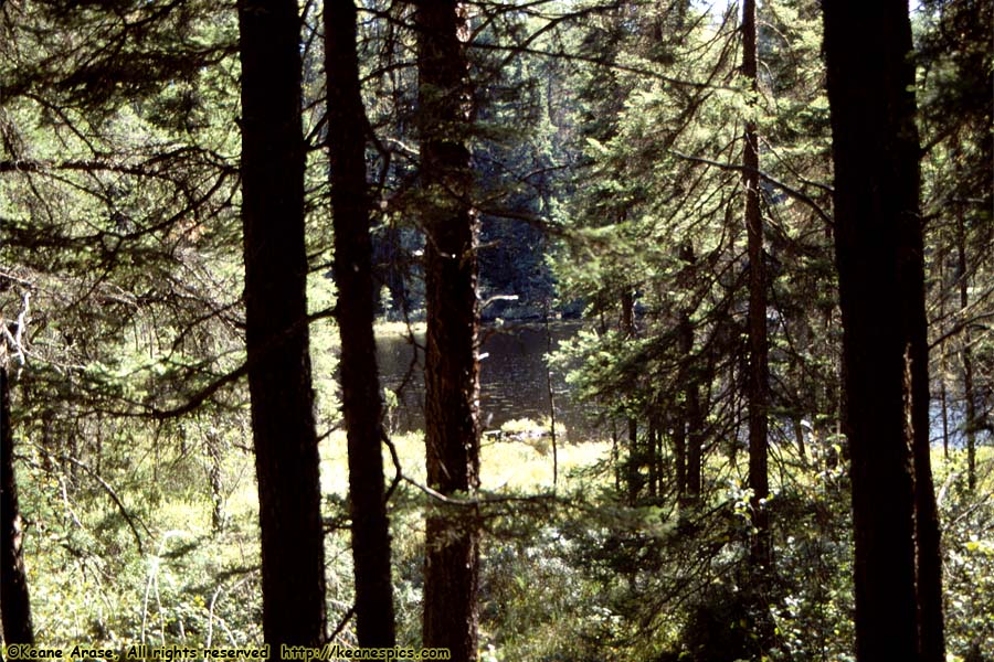 Along The Gunflint Trail