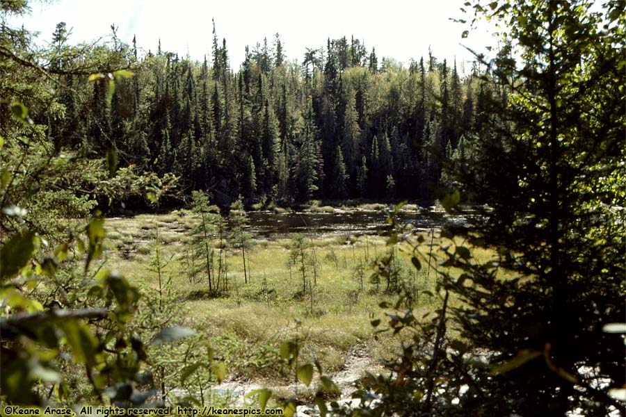 Along The Gunflint Trail