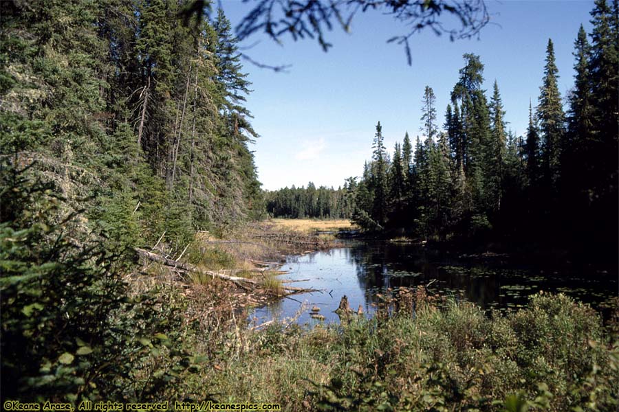 Along The Gunflint Trail