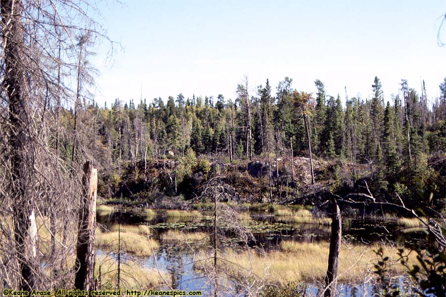 Along The Gunflint Trail