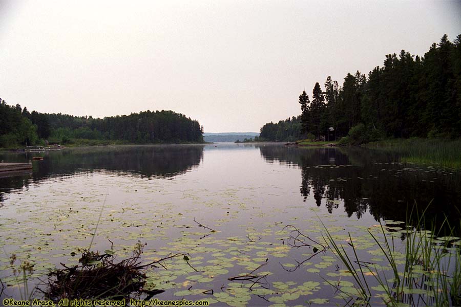 Seagull Lake (1994)