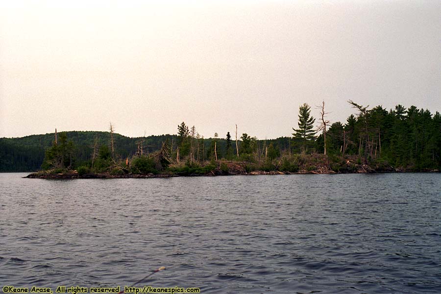 Seagull Lake (1994)