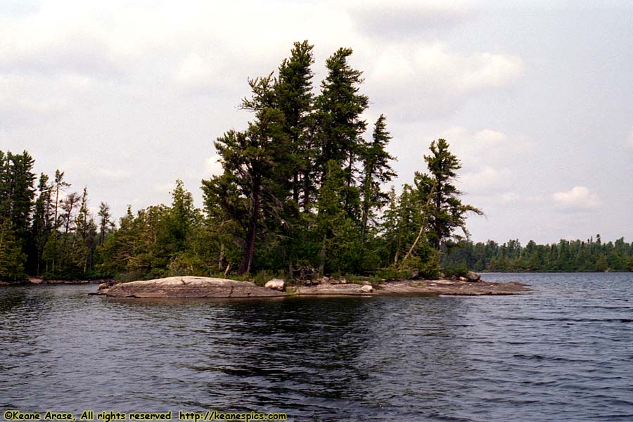 Seagull Lake (1994)