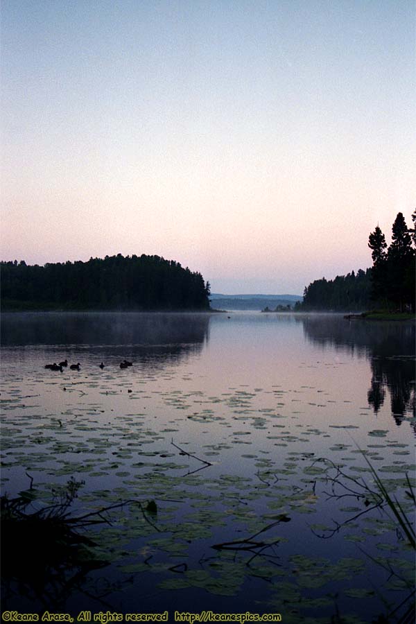 Seagull Lake (1994)