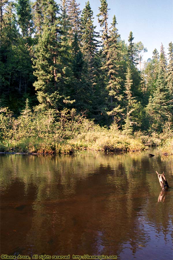 Along The Gunflint Trail