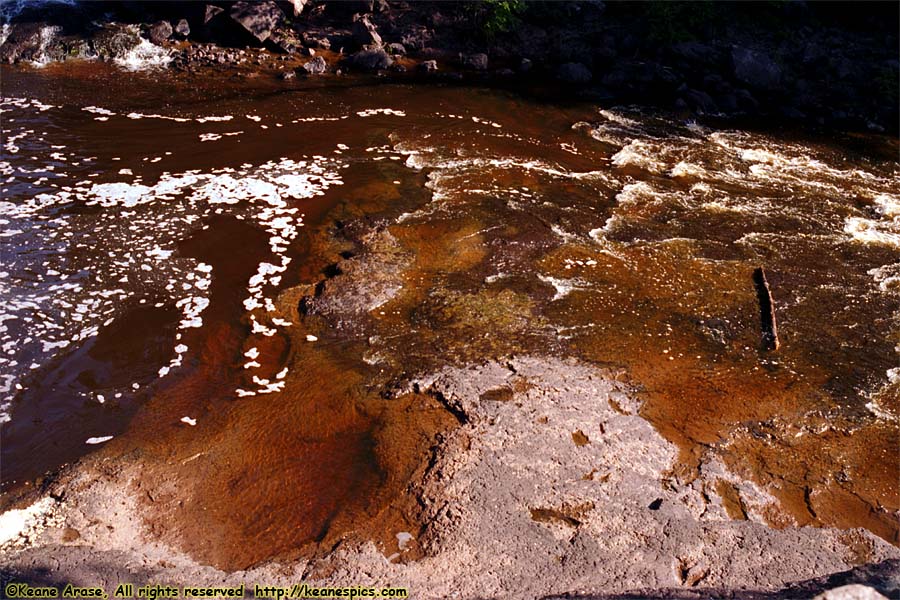 Gooseberry Falls State Park