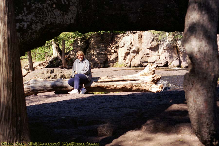 Gooseberry Falls State Park