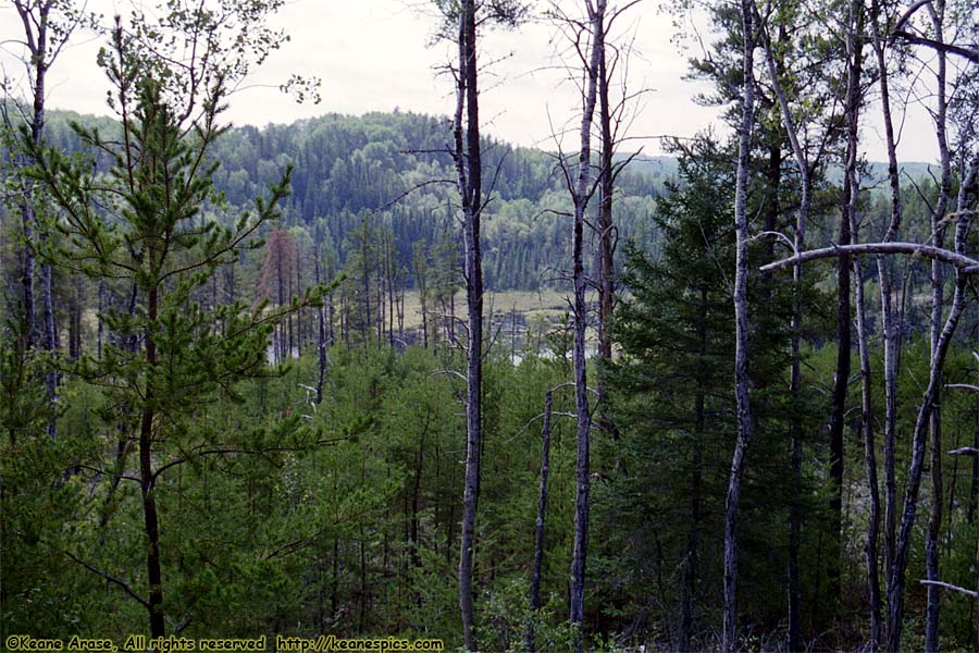 Magnetic Rock Trail