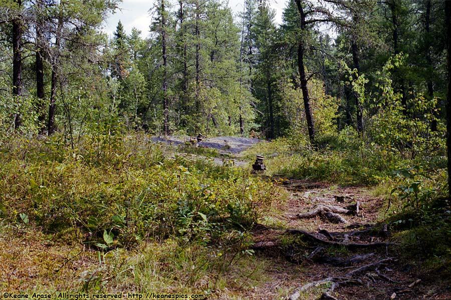 Magnetic Rock Trail