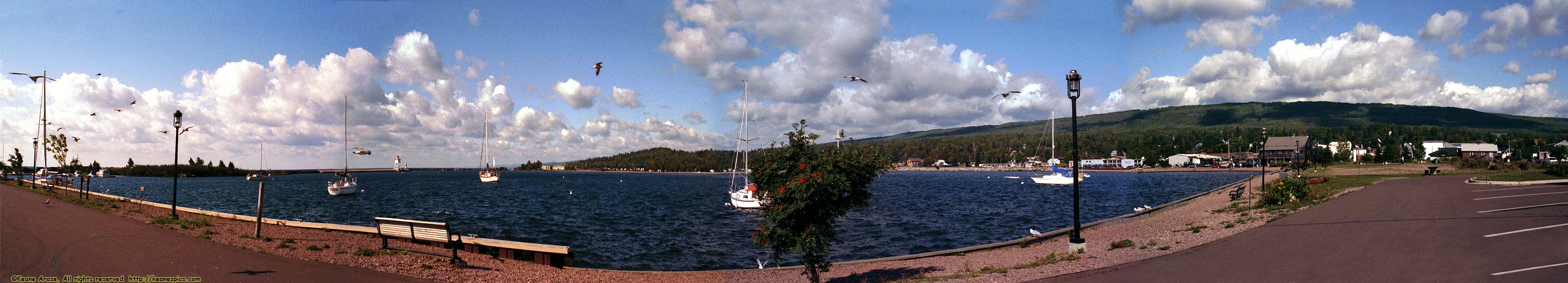 Harbor panoramic