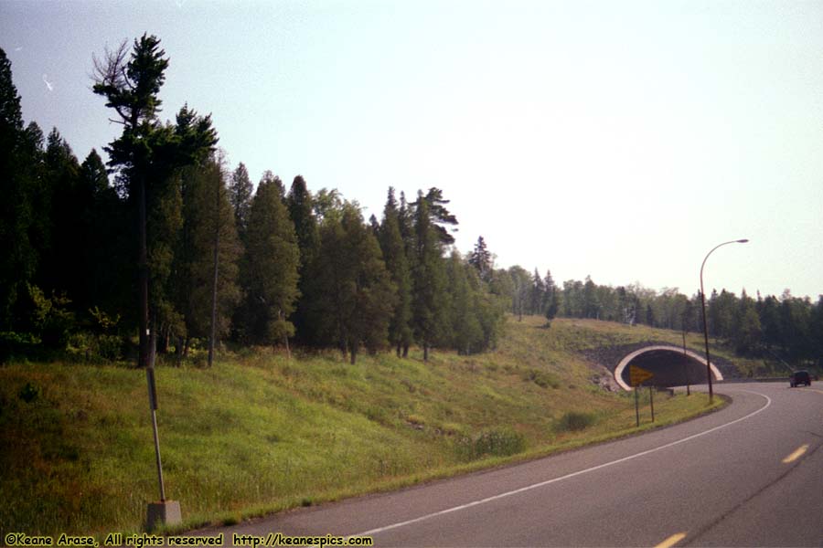 Finished tunnel